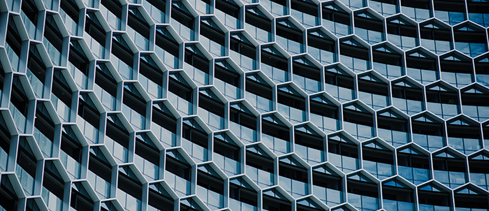 Building_Hexagonal_Windows